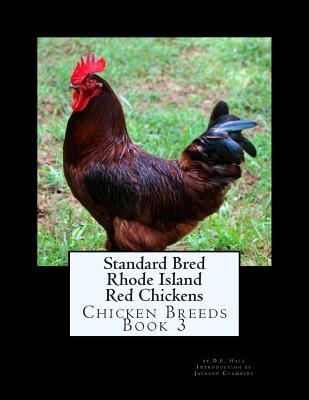 Standard Bred Rhode Island Red Chickens