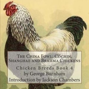 The China Fowl: Cochin, Shanghae and Brahma Chickens: Chicken Breeds Book 4