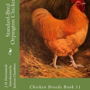 Standard-Bred Orpington Chickens: Chicken Breeds Book 11
