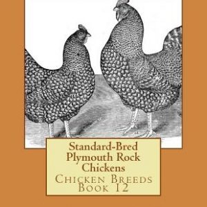 Standard-Bred Plymouth Rock Chickens: Chicken Breeds Book 12
