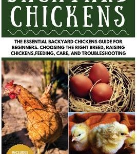 Backyard Chickens: The Essential Backyard Chickens Guide for Beginners: Choosing the Right Breed, Raising Chickens, Feeding, Care, and Tr