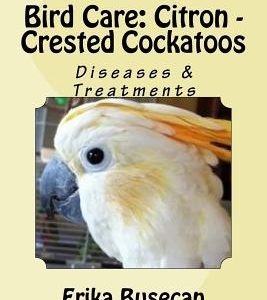 Bird Care: Citron - Crested Cockatoos: Diseases & Treatments