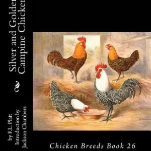 Silver and Golden Campine Chickens: Chicken Breeds Book 26