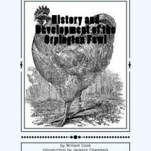 History and Development of the Orpington Fowl: Chicken Breeds Book 27