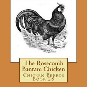 The Rosecomb Bantam Chicken: Chicken Breeds Book 28