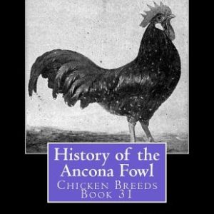 History of the Ancona Fowl: Chicken Breeds Book 31
