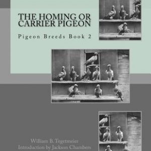 The Homing or Carrier Pigeon: Pigeon Breeds Book 2