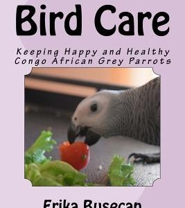 Bird Care: Keeping Happy and Healthy Congo African Grey Parrots
