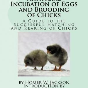 Artificial Incubation of Eggs and Brooding of Chicks: A Guide to the Successful Hatching and Rearing of Chicks