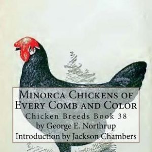 Minorca Chickens of Every Comb and Color: Chicken Breeds Book 38