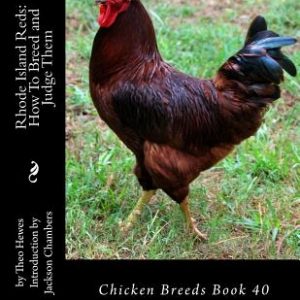 Rhode Island Reds: How To Breed and Judge Them: Chicken Breeds Book 40