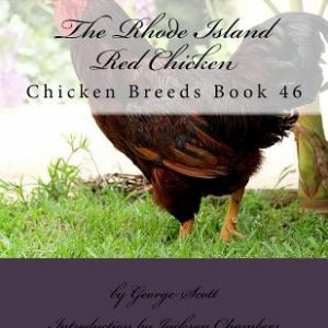 The Rhode Island Red Chicken: Chicken Breeds Book 46