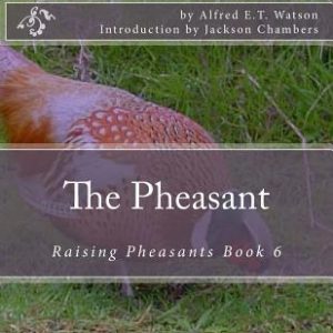 The Pheasant: Raising Pheasants Book 6
