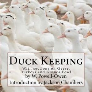 Duck Keeping: With sections on Geese, Turkeys and Guinea Fowl