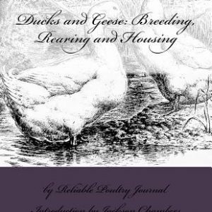 Ducks and Geese: Breeding, Rearing and Housing