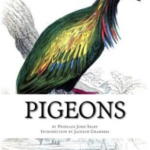 Pigeons: Pigeon Classics Book 9