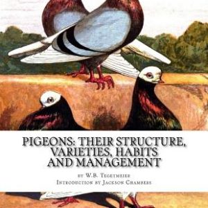 Pigeons: Their Structure, Varieties, Habits and Management: Pigeon Classics Book 12