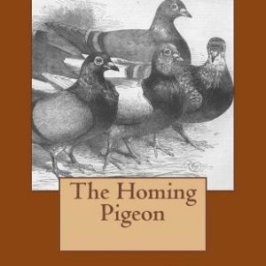 The Homing Pigeon