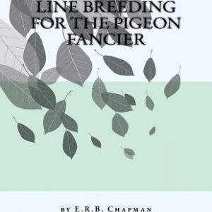 Line Breeding For The Pigeon Fancier
