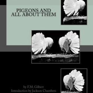 Pigeons and All About Them