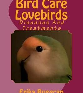 Bird Care - Lovebirds: Diseases And Treatments