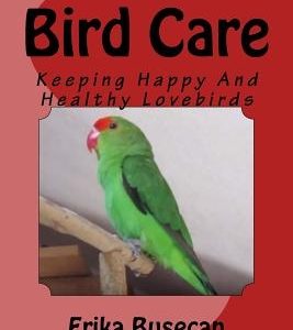 Bird Care: Keeping Happy And Healthy Lovebirds