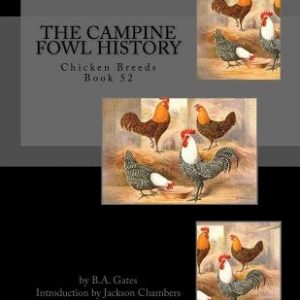 The Campine Fowl History: Chicken Breeds Book 52