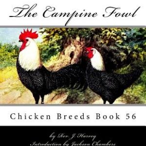 The Campine Fowl: Chicken Breeds Book 56