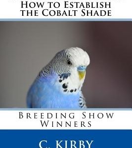 Breeding Budgerigars How to Establish the Cobalt Shade