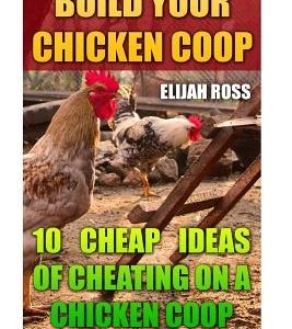 Build Your Chicken Coop: 10 Cheap Ideas Of Cheating On A Chicken Coop