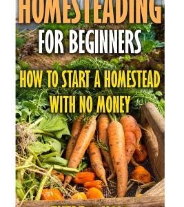 Homesteading For Beginners: How To Start A Homestead With No Money