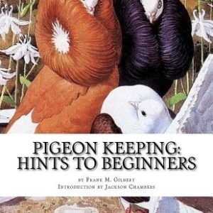 Pigeon Keeping: Hints To Beginners