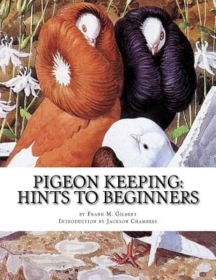 Pigeon Keeping: Hints To Beginners