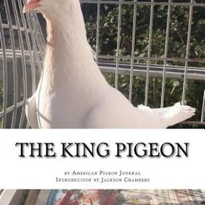 The King Pigeon