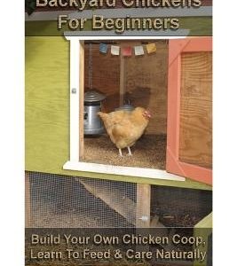 Backyard Chickens For Beginners: Build Your Own Chicken Coop, Learn To Feed & Care Naturally: (Building Chicken Coops, Raising Chickens For Dummies, B