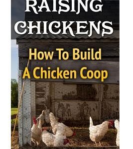 Raising Chickens: How To Build A Chicken Coop