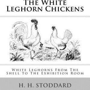 The White Leghorn Chickens: White Leghorns From The Shell To The Exhibition Room
