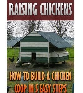 Raising Chickens: How To Build A Chicken Coop In 5 Easy Steps