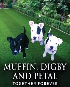Muffin, Digby And Petal: Together Forever