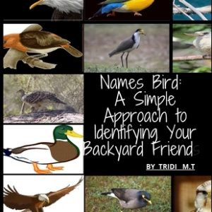 Names Bird: A Simple Approach to Identifying Your Backyard Friend