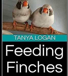 Feeding Finches: for Health and Longevity