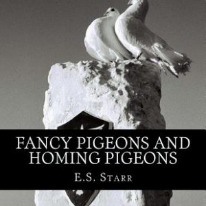 Fancy Pigeons and Homing Pigeons