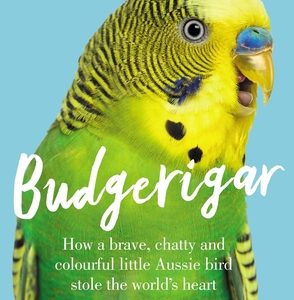 Budgerigar: How a Brave, Chatty and Colourful Little Aussie Bird Stole the World's Heart