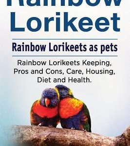 Rainbow Loirkeet. Rainbow Loirkeets as pets. Rainbow Loirkeets Keeping, Pros and Cons, Care, Housing, Diet and Health.
