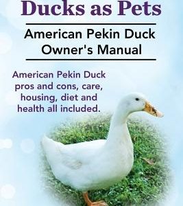 Pekin Ducks as Pets. American Pekin Duck Owner's Manual. American Pekin Duck pros and cons, care, housing, diet and health all included.