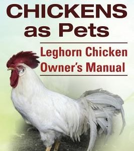 Leghorn Chickens. Leghorn Chickens as Pets. Leghorn Chicken Owner's Manual.