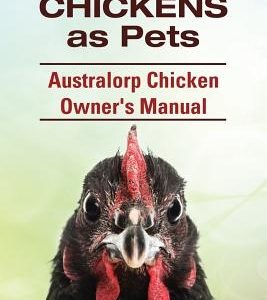 Australorp Chickens as Pets. Australorp Chicken Owner's Manual.