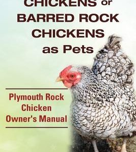 Plymouth Rock Chickens or Barred Rock Chickens as Pets. Plymouth Rock Chicken Owner's Manual.