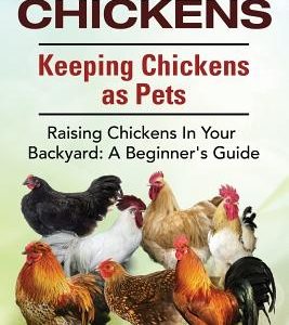 Pet Chickens. Keeping Chickens as Pets. Raising Chickens In Your Backyard: A Beginners Guide.