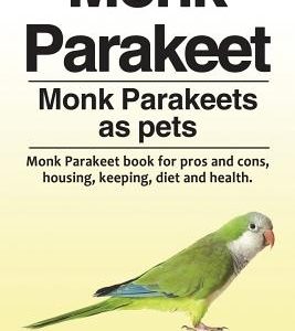 Monk Parakeet. Monk Parakeets as pets. Monk Parakeet book for pros and cons, housing, keeping, diet and health.